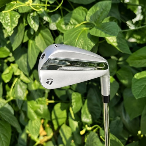 2025 taylormade p790 - p790, chrome