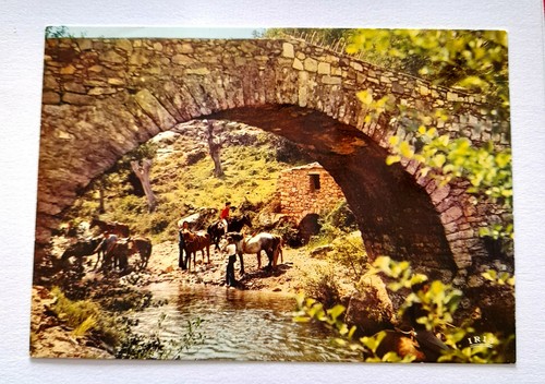 Carte postale promenade à - postale,