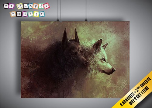 Poster loup blanc noir - loup,