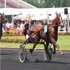 METHODE de TURF : Maurice