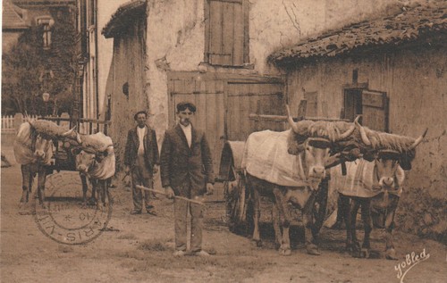Cpa pays basque n 261 - cpa,