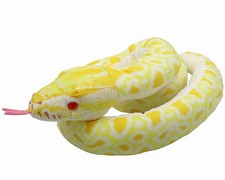 take off python (albino)