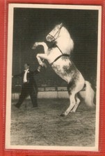 A. GRUSS  carte postale photo