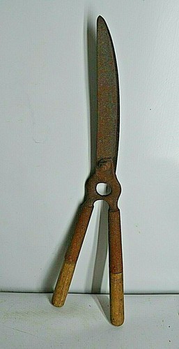 Ancienne cisaille coupe - ancienne, troene