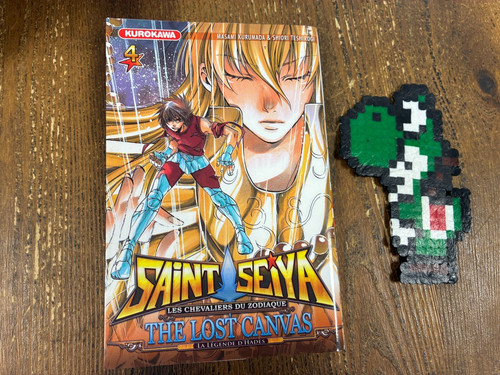 Saint seiya the lost - , canvas