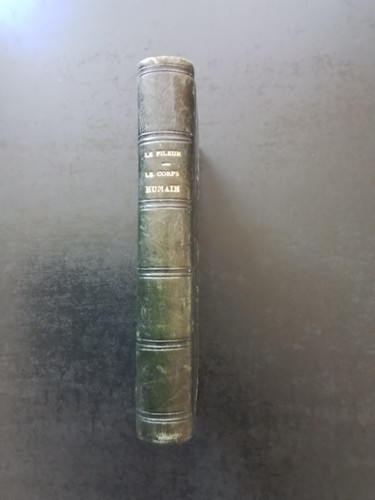 Corps humain 1869 a - -, le
