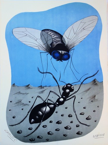 Félix labisse mouche - félix, :