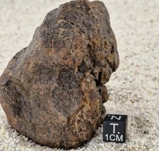 Meteorite NWA 17447 Chondrite L6