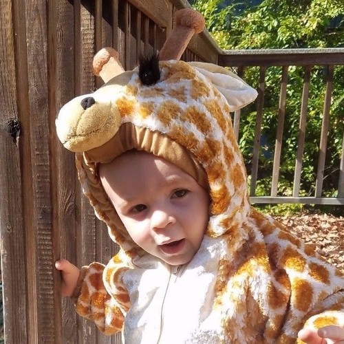 Giraffe soft plush costume - giraffe,