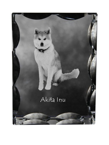 Akita inu cristal - akita,