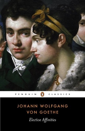 Johann wolfgang von goethe - wolfgang,