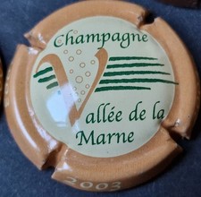Lot lettre V3 - VALLEE DE LA MARNE / CAPSULE PLAQUE MUSELET CHAMPAGNE 2003