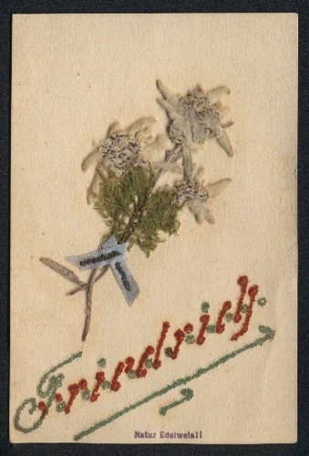 Carte postale fleurs - postale, de