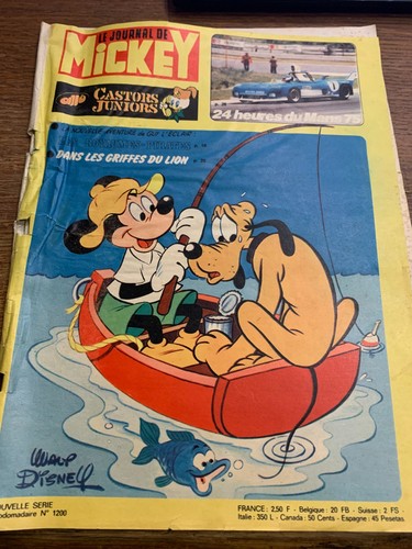 Journal mickey - journal,
