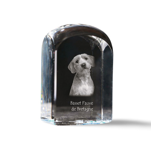 Basset fauve bretagne - de,