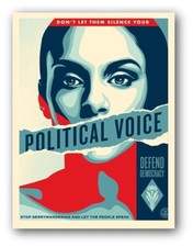 Political Voice Shepard Fairey