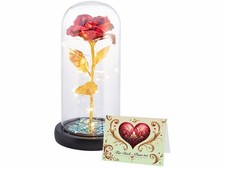 Rose éternelle sous cloche avec LED - coloris rouge - Lunartec
