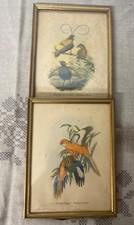Lot de 2 tableaux oiseaux