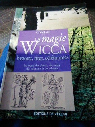 Magie wicca histoire - la,