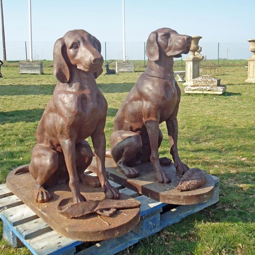 Couple chiens jardin - , fonte