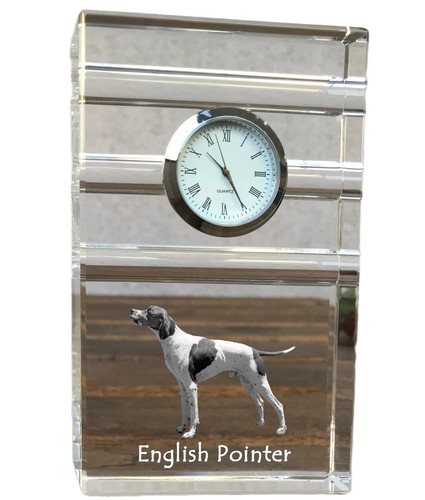 Pointer anglais tricolore - anglais,