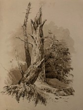 Dessin Lavis Encre Sur Papier