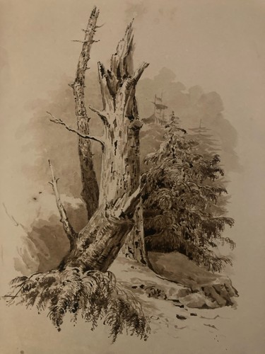 Dessin lavis encre sur - dessin, papier