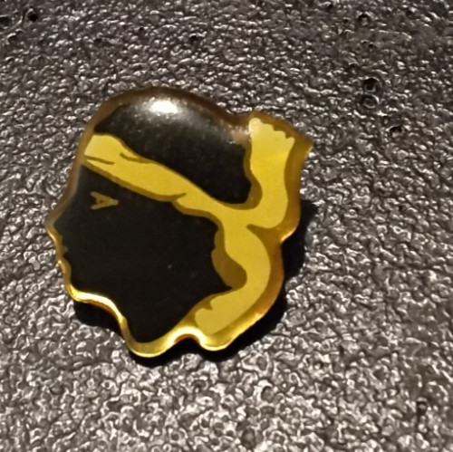 Pin corse tête maure - corse, de