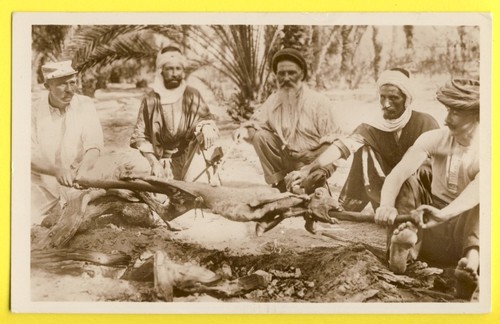 Cpa cigogne à alger - ed., la