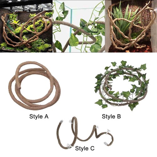 Terrarium reptile vines jungle - terrarium,