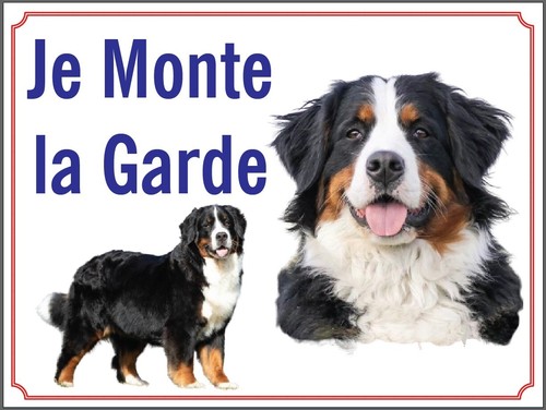 Attention chien je monte - attention, chien,
