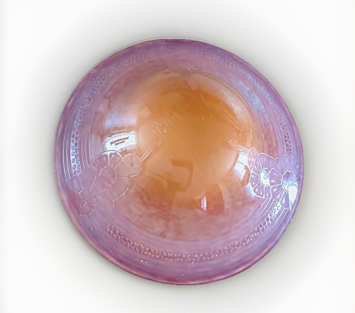 Schneider verre français - schneider-le,