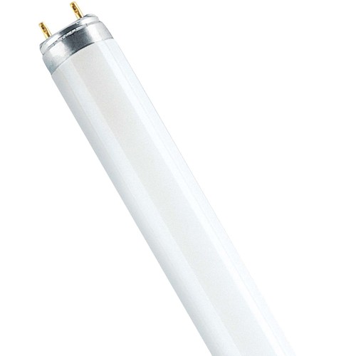 Osram lampe fluorescente - osram, t8