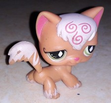 Petshop chat angora 511