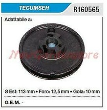 Poulie De Démarrage TECUMSEH Tondeuse R160565