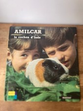AMILCAR LE COCHON D'INDE -