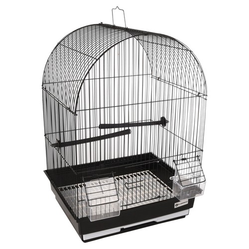 Cage oiseaux flamingo - oiseaux,