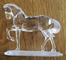Superbe cheval pas en - au,