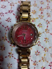 Montre Citizen H240 Cross Sea