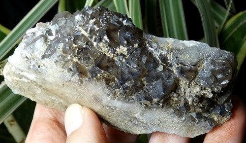 Quartz morion fumé beauvoir - quartz,