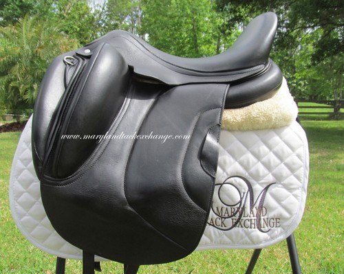 Antares tempo calfskin - 17.5",