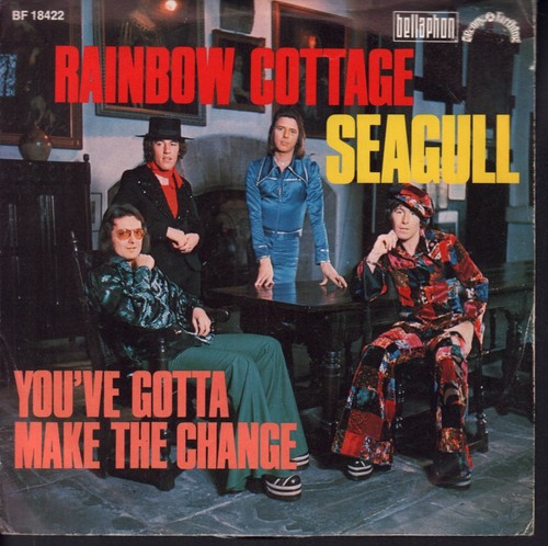 Rainbow cottage seagull - cottage, 7"