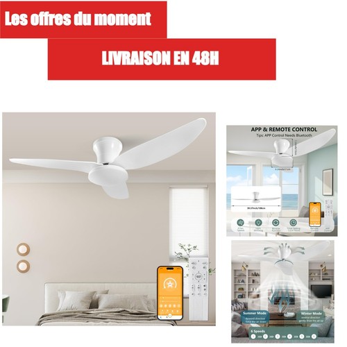 Ventilateur plafond 100cm - ventilateur,