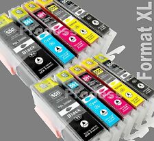 10 Cartouches d'encre