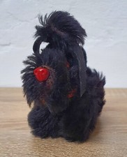 Joli caniche ancien chien 11