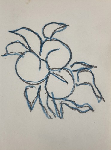 Henri matisse étude de - matisse,,