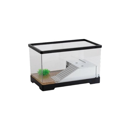 Habitat tortue acrylique pet - tortue,