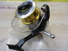 Shimano's 09 Rarenium CI4