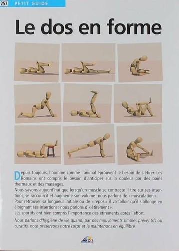 Dos forme collectif - forme,