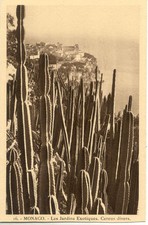 MONACO 16 les jardins